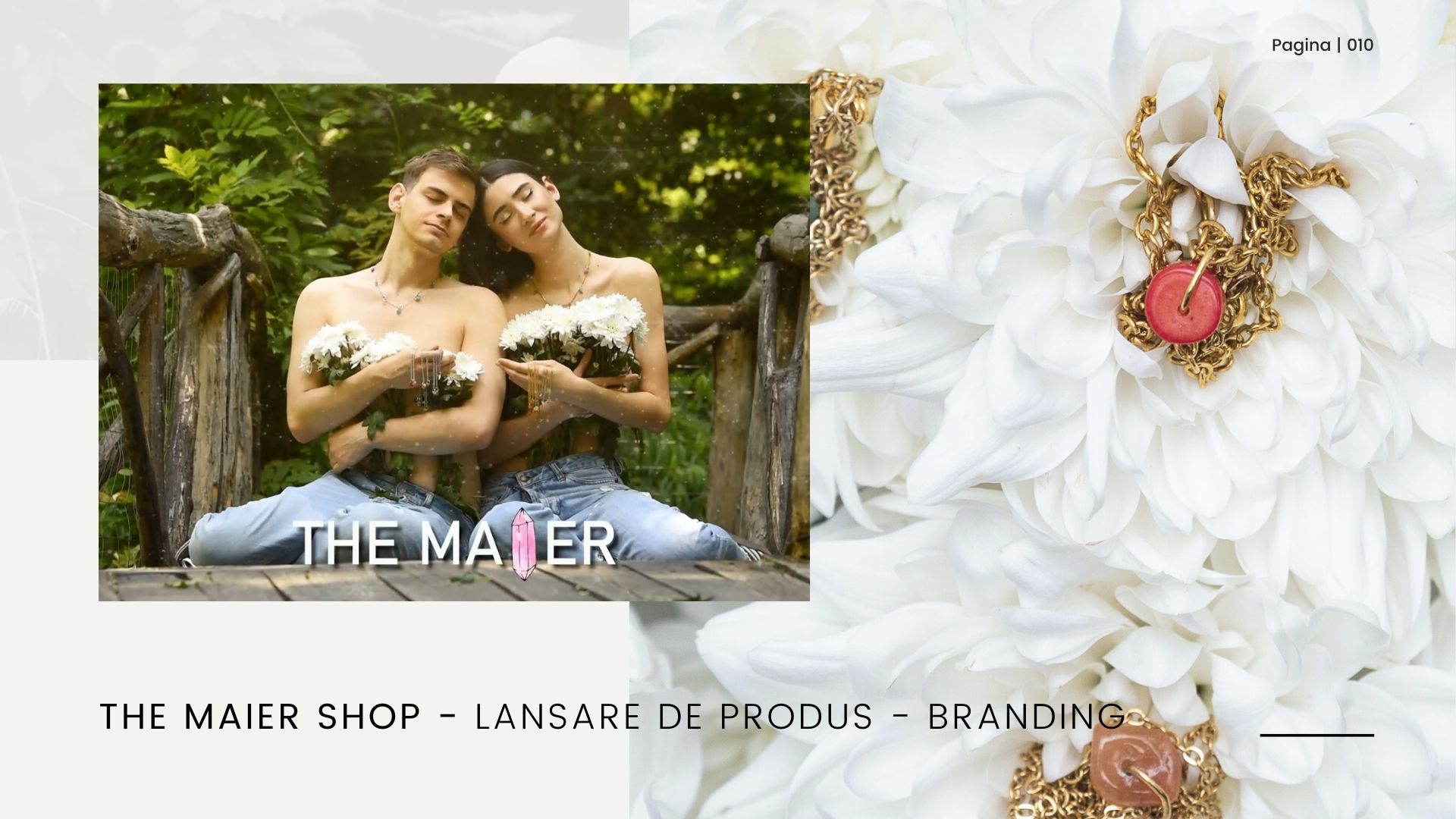 Showcase proiect The Maier Shop — 5