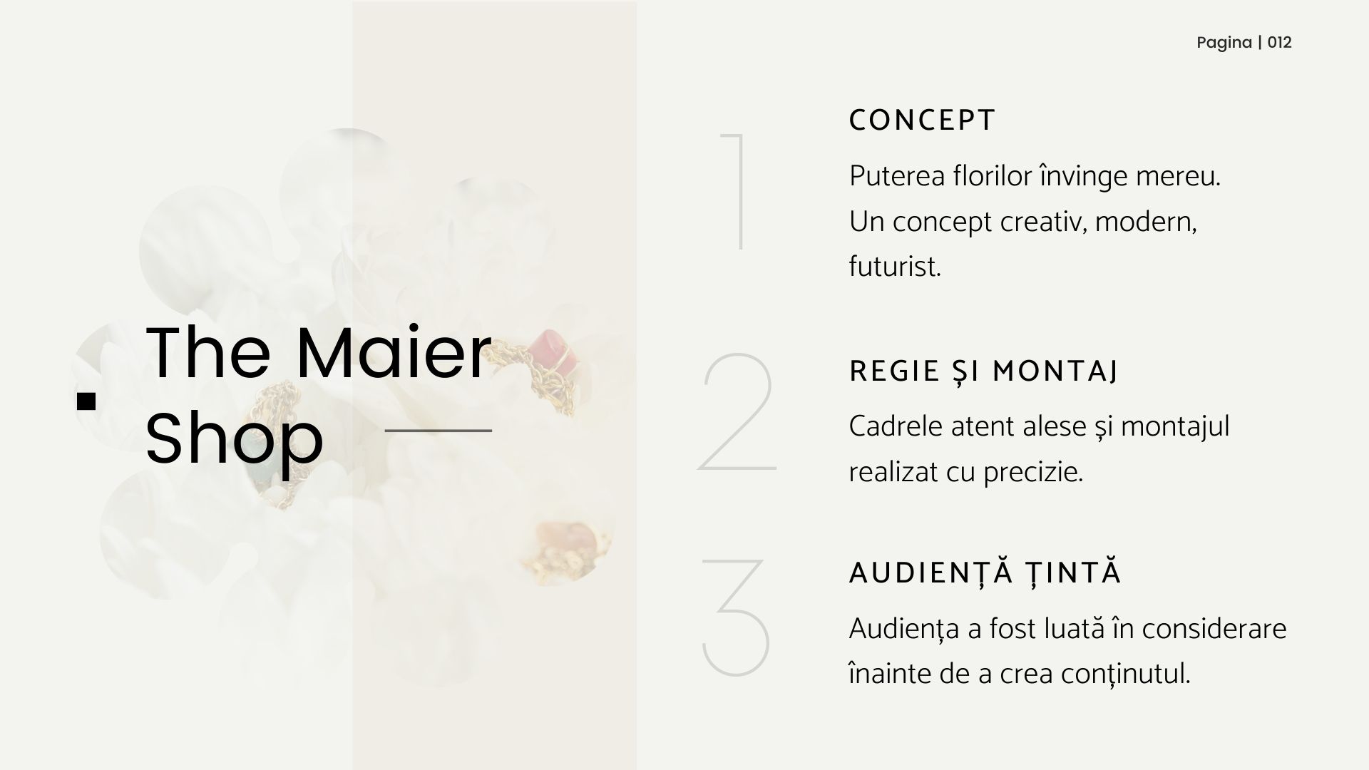Showcase proiect The Maier Shop — 3