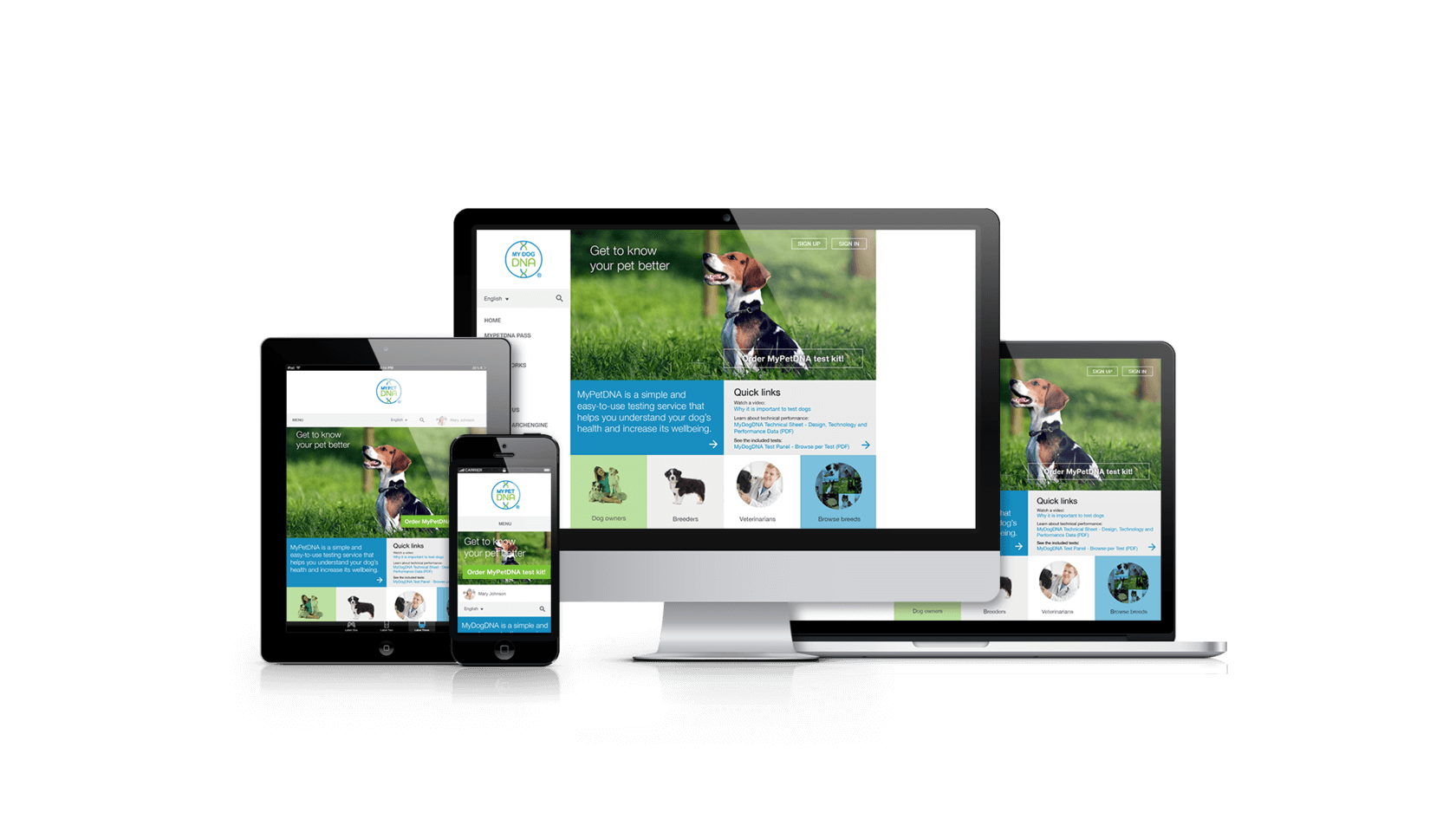 Website responsive — afișare pe laptop, tabletă și TV