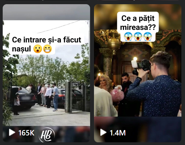 Reeluri virale cu vizualizări organice — rezultate social media